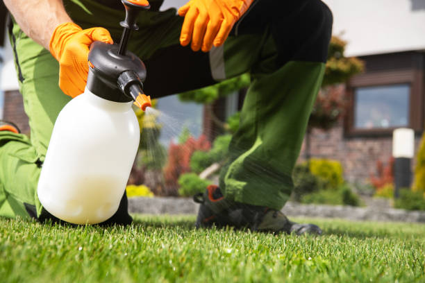 Pest Control Cost in Machesney Park, IL