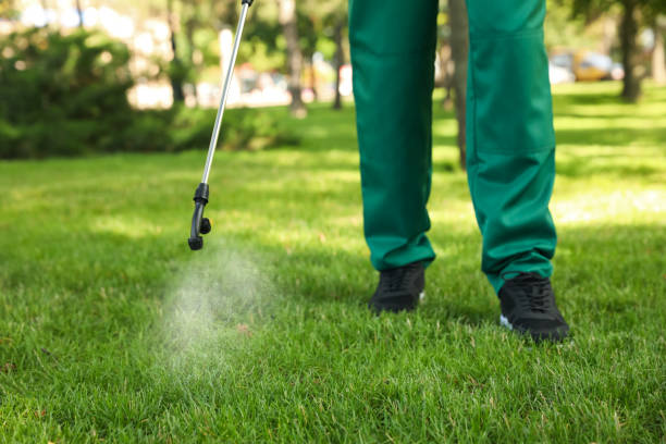 Best Insect Control  in Machesney Park, IL