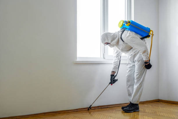 Best Mosquito Control Services  in Machesney Park, IL